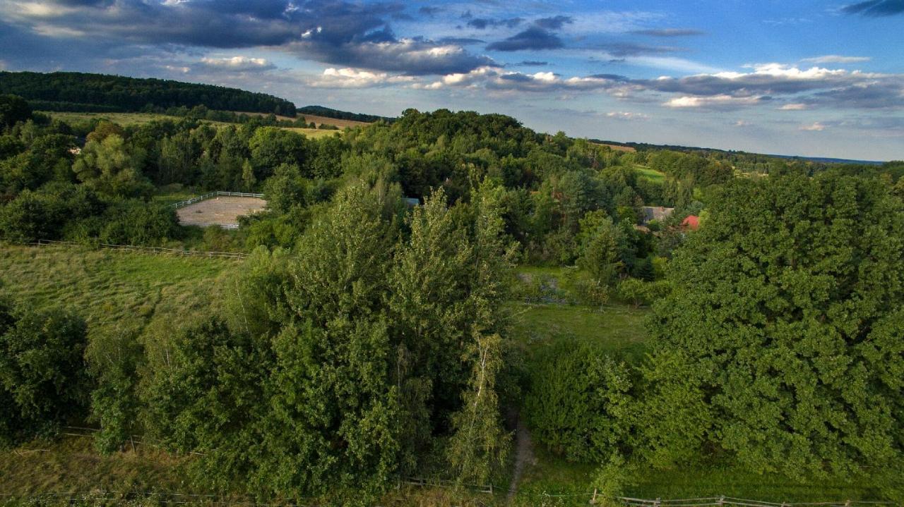 Ekoturystyka Nowina Villa Nowina  Exterior photo